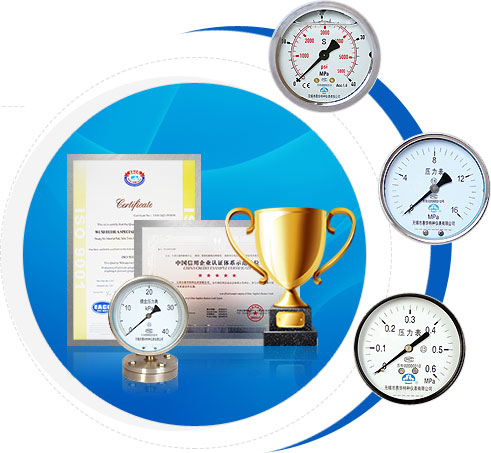 无锡市 ag真人国际特种仪表有限公司