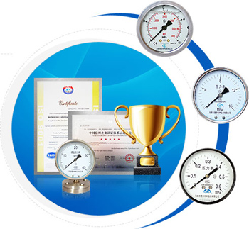 无锡市 ag真人国际特种仪表有限公司