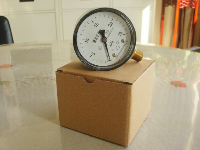  ag真人国际膜盒压力表正面