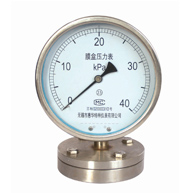 膜片压力表 膜片压力表