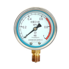 YN-60径向耐震压力表 YN-60径向耐震压力表