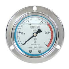 YN-60轴向带边耐震压力表