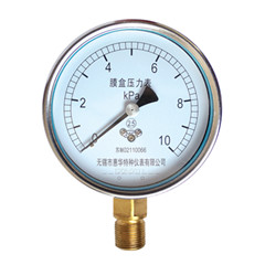 YE-100径向膜盒压力表